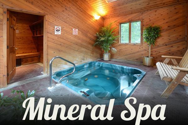 Turf And Spa Motel Saratoga Springs Bagian luar foto